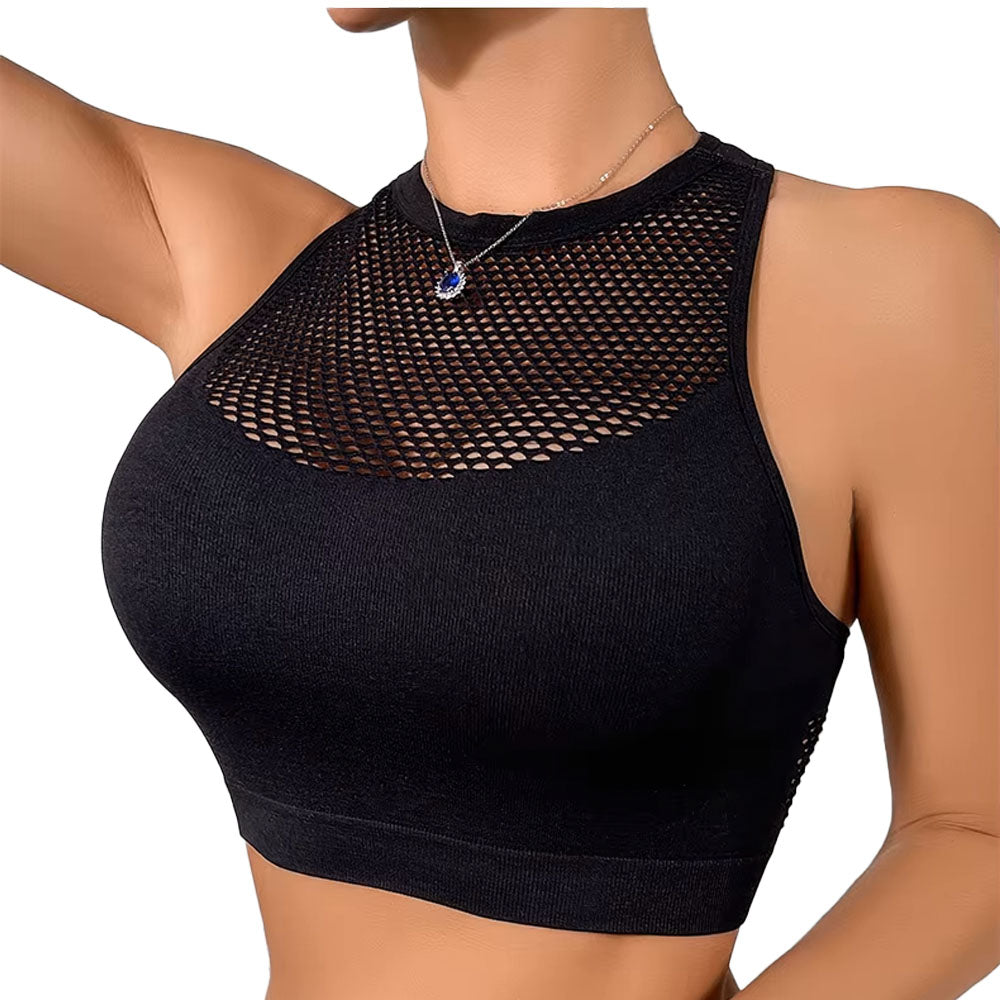 Dana Mesh Crop Top