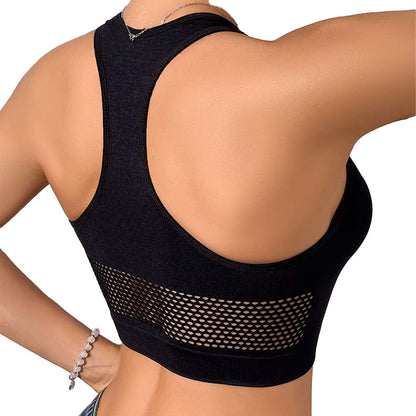 Dana Mesh Crop Top